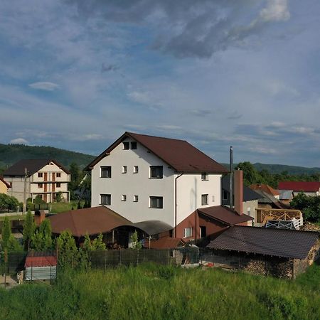 Pensiunea Lacul Albesti Albestii Paminteni Extérieur photo