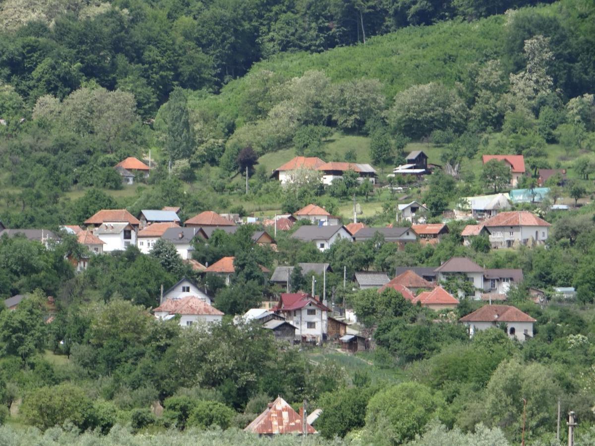 Pensiunea Lacul Albesti Albestii Paminteni Extérieur photo