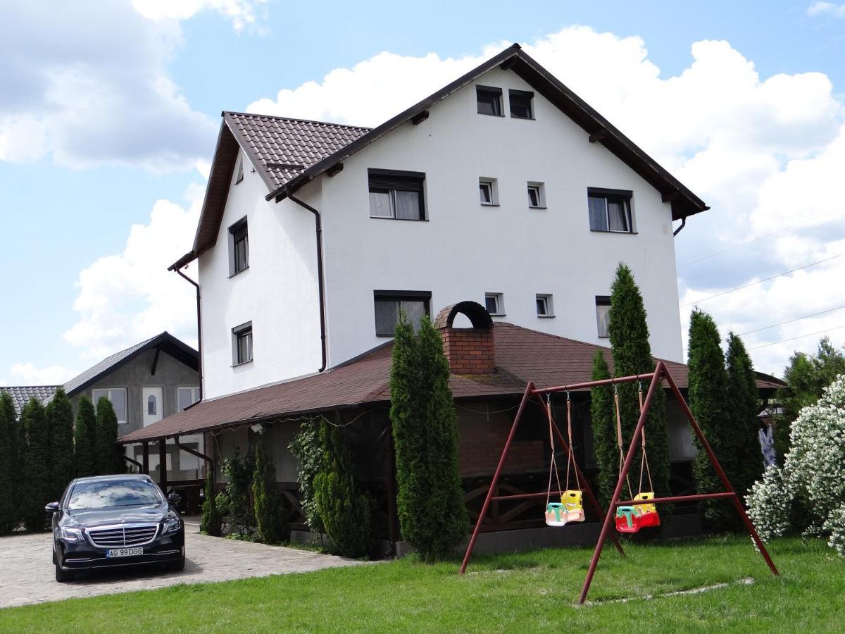Pensiunea Lacul Albesti Albestii Paminteni Extérieur photo