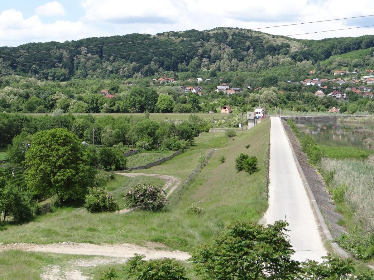 Pensiunea Lacul Albesti Albestii Paminteni Extérieur photo