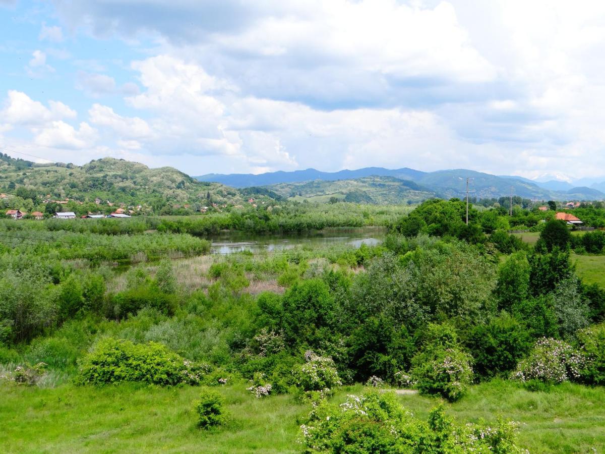 Pensiunea Lacul Albesti Albestii Paminteni Extérieur photo