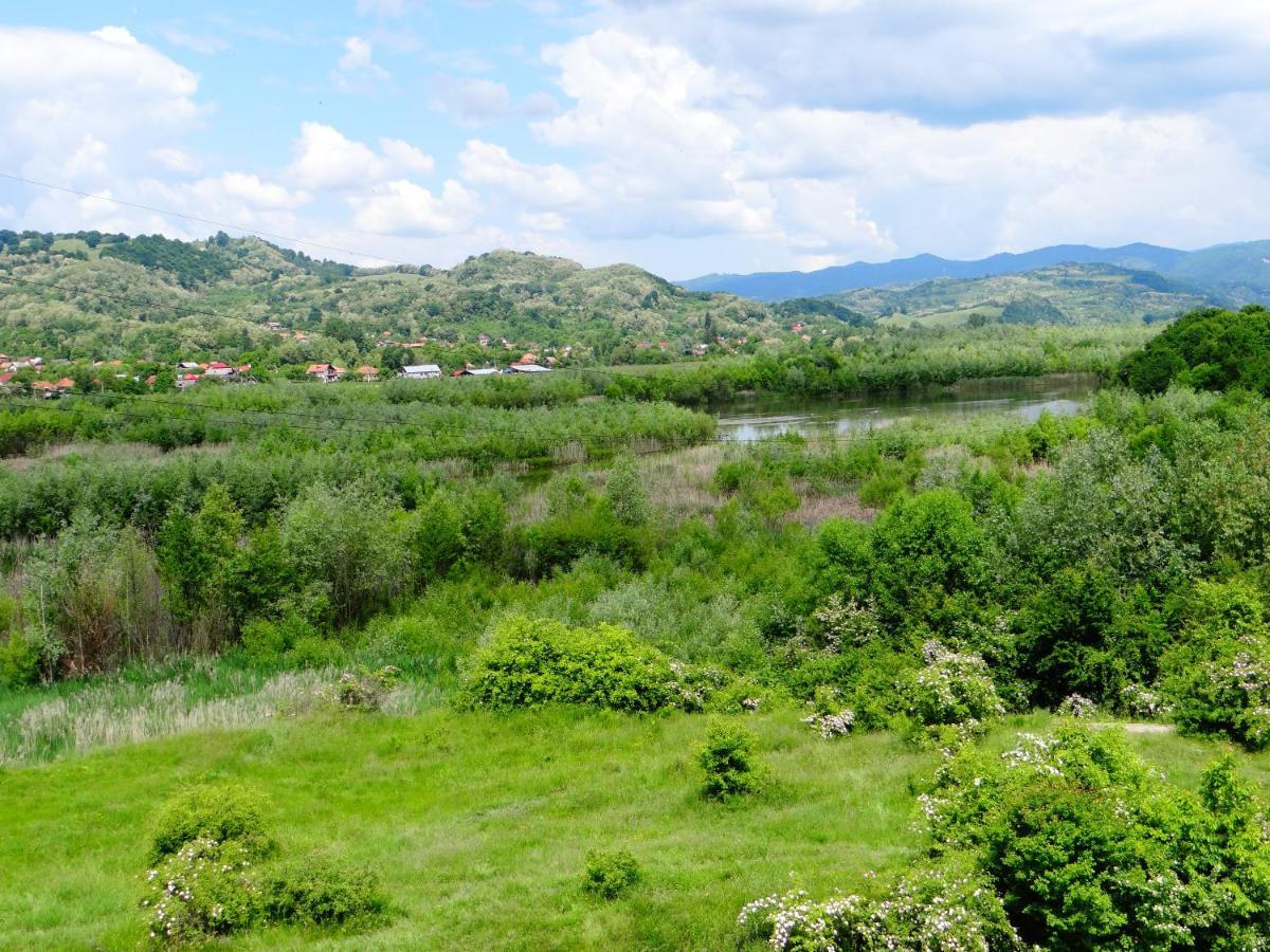 Pensiunea Lacul Albesti Albestii Paminteni Extérieur photo