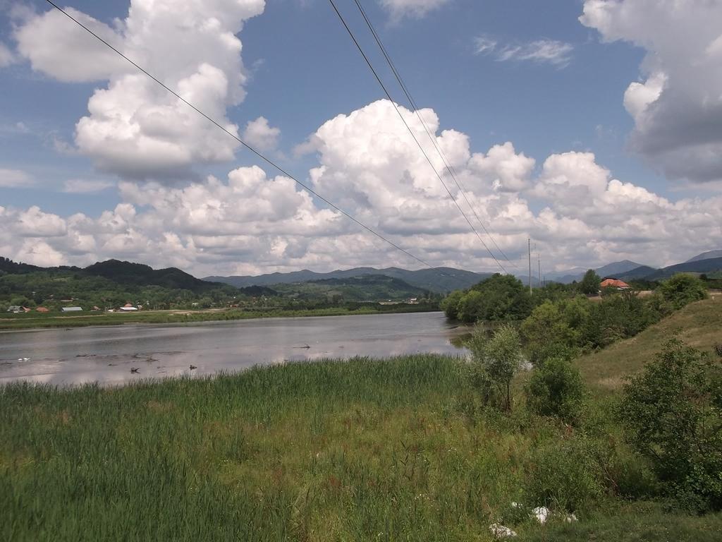 Pensiunea Lacul Albesti Albestii Paminteni Extérieur photo